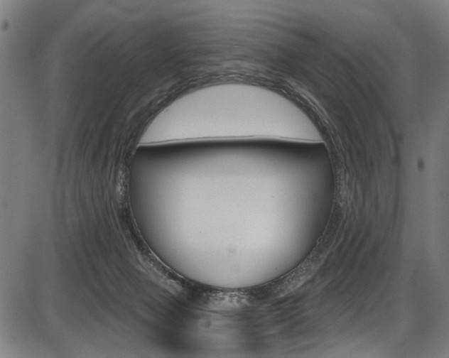 X0000087550077200704270959