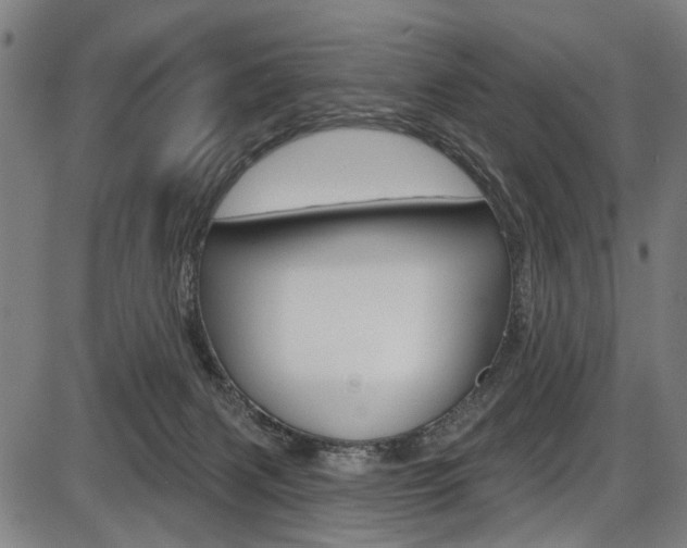 X0000087550079200704270959