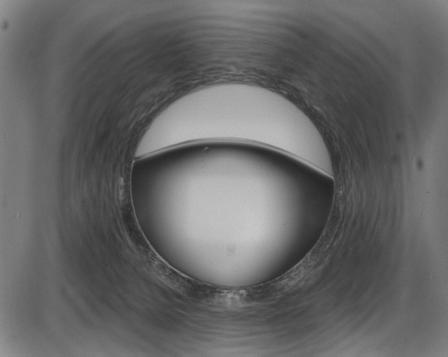 X0000087550080200704270959