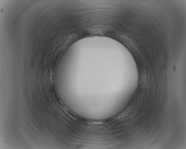 X0000087550081200704270959