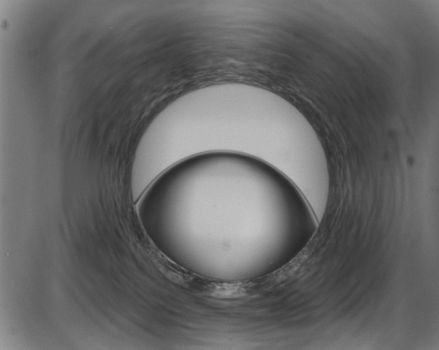 X0000087550088200704270959
