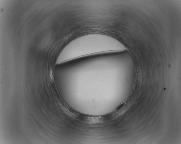 X0000087550089200704270959