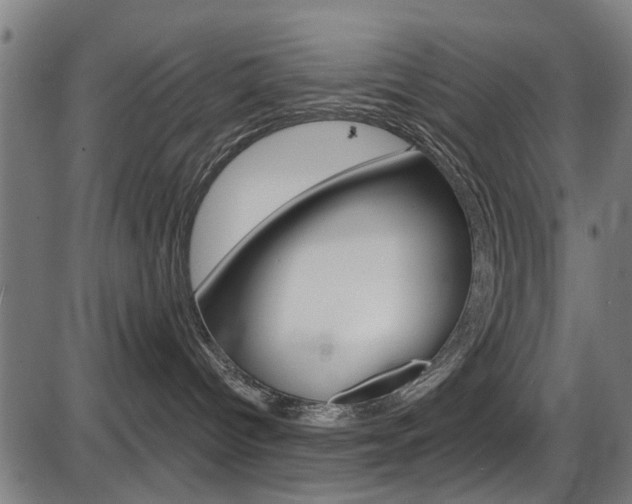 X0000087550096200704270959