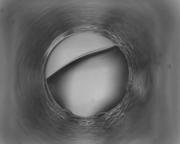X0000087550099200704270959