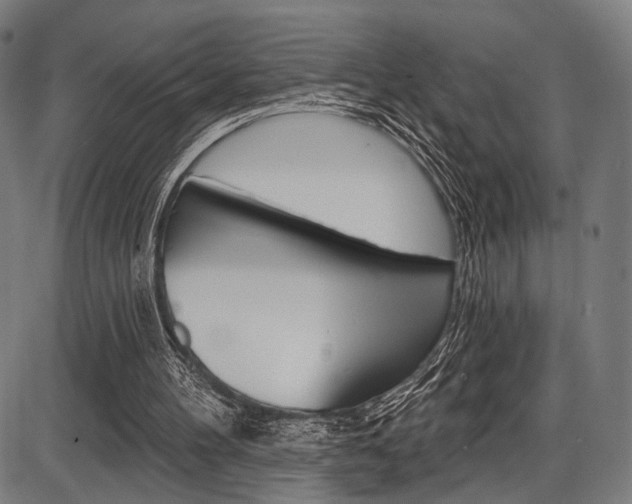 X0000087550100200704270959