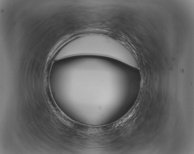 X0000087550101200704270959