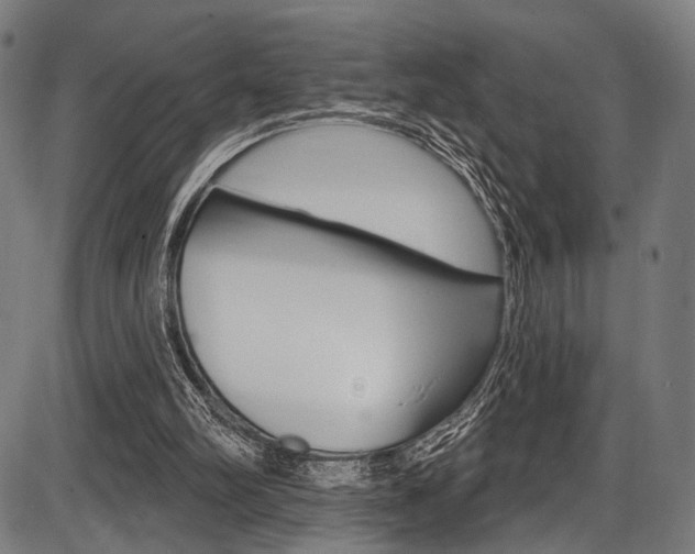 X0000087550102200704270959