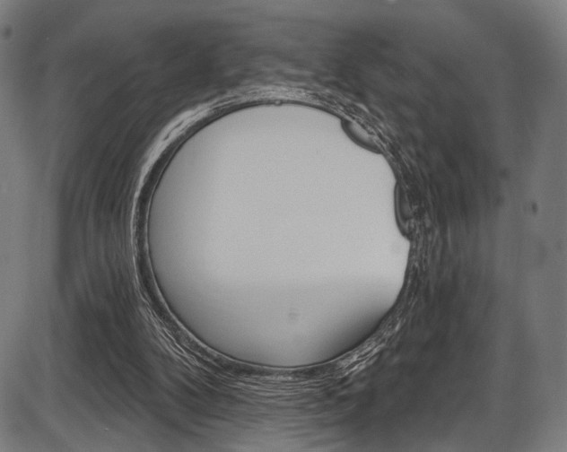 X0000087550104200704270959