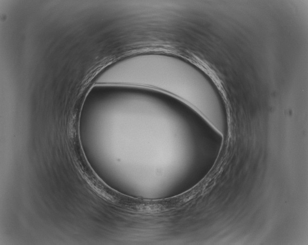 X0000087550105200704270959