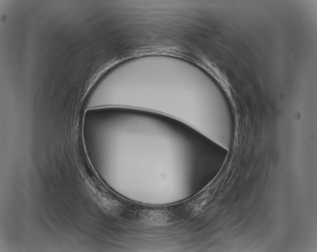 X0000087550107200704270958