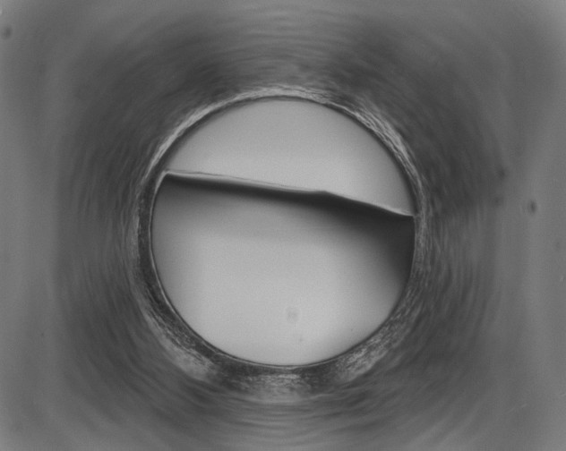 X0000087550108200704270958