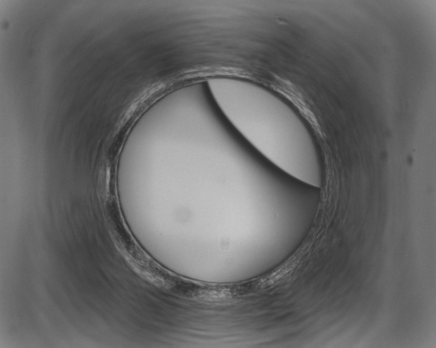 X0000087550110200704270958