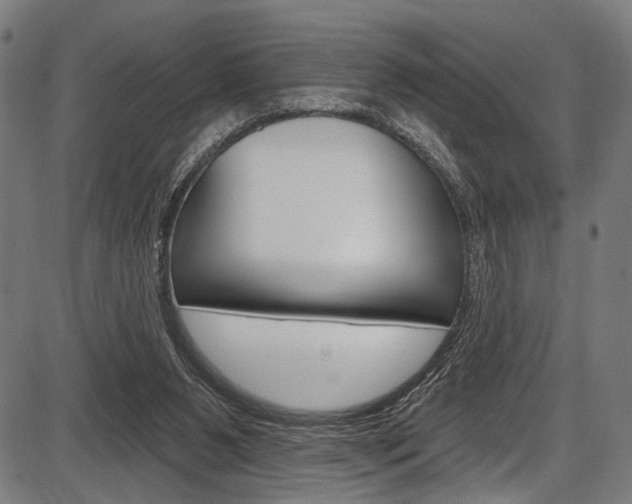 X0000087550111200704270958