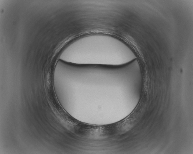 X0000087550116200704270958