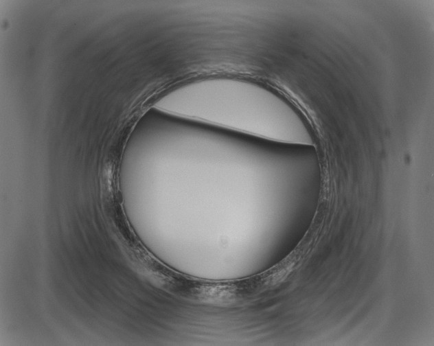 X0000087550117200704270958