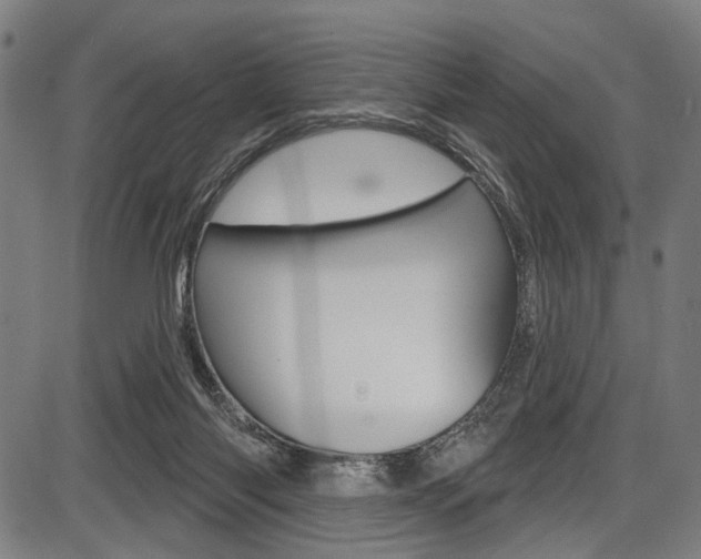 X0000087550118200704270958