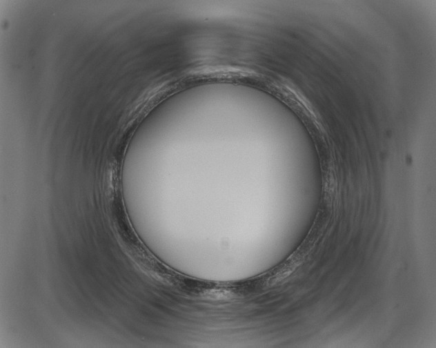 X0000087550119200704270958