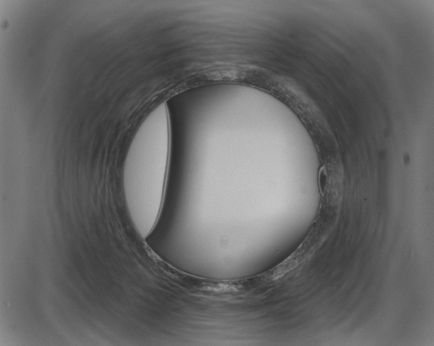 X0000087550125200704270958