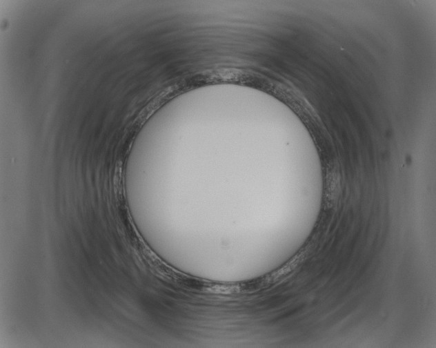 X0000087550126200704270958