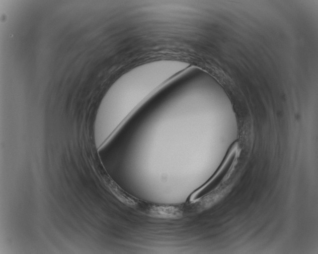 X0000087550137200704270958