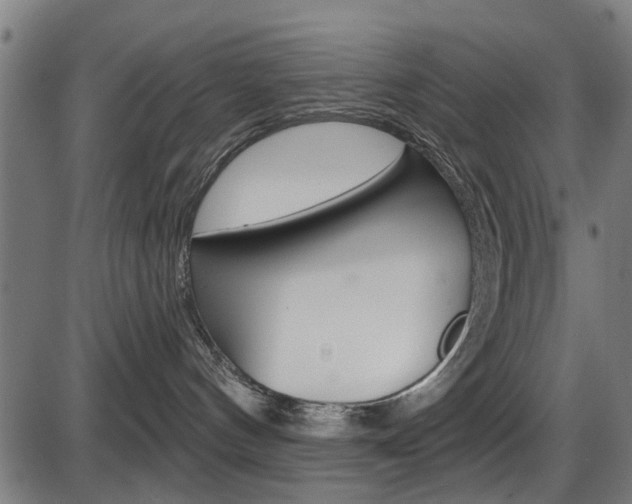 X0000087550144200704270958