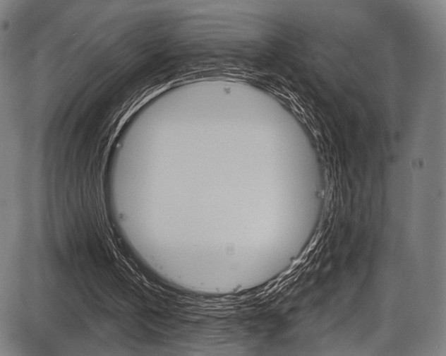 X0000087550146200704270957