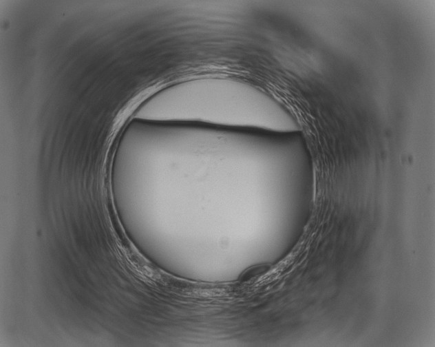 X0000087550147200704270957