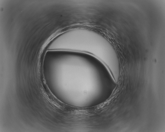 X0000087550150200704270957