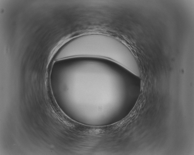 X0000087550152200704270957
