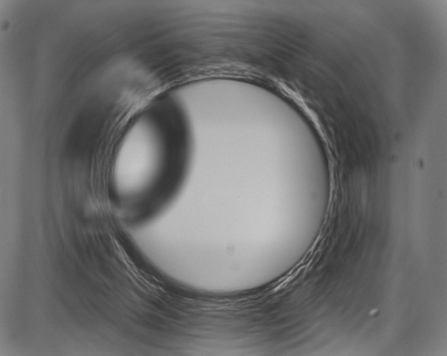 X0000087550154200704270957
