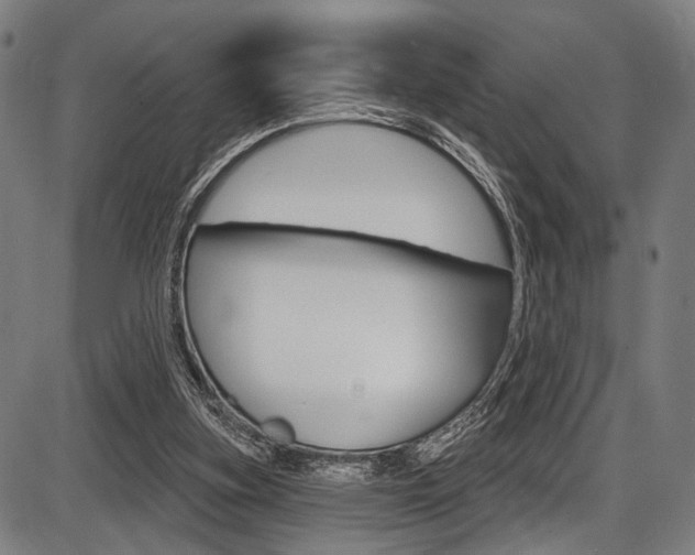 X0000087550155200704270957