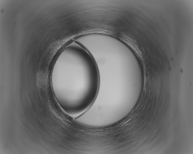 X0000087550156200704270957