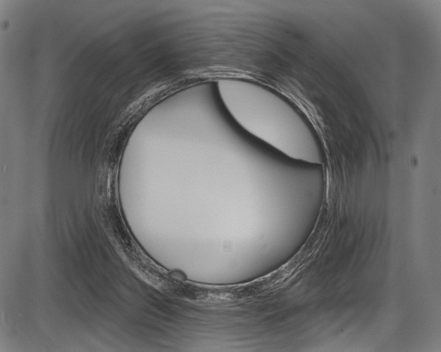 X0000087550157200704270957