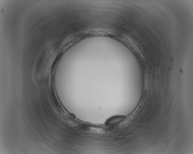 X0000087550167200704270957
