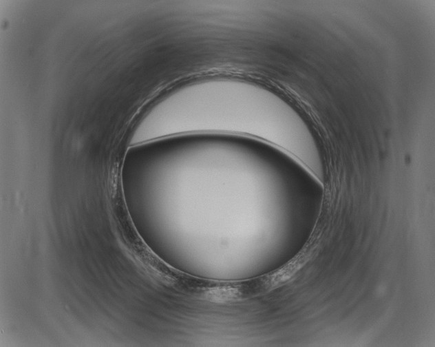 X0000087550168200704270957