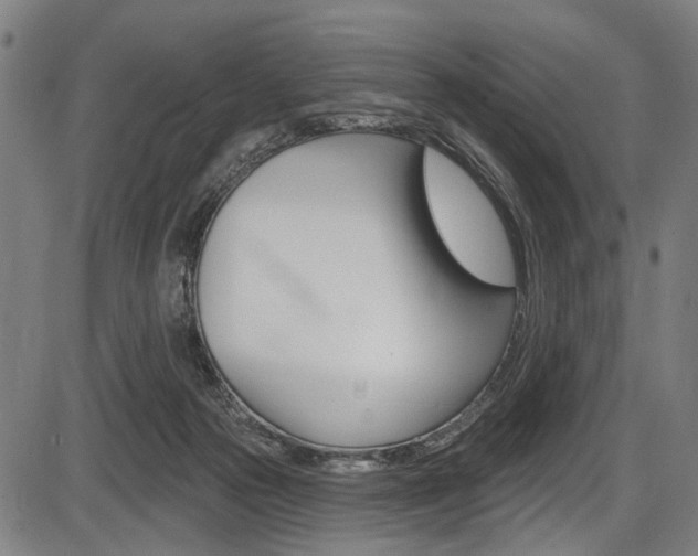 X0000087550169200704270957