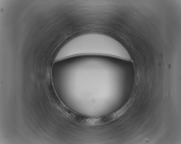 X0000087550172200704270958