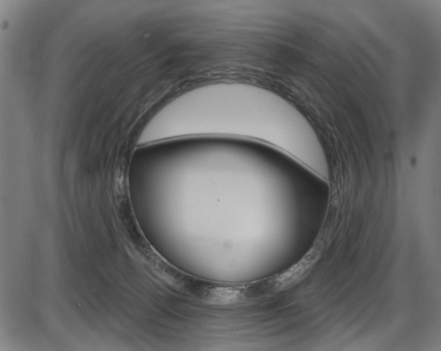 X0000087550176200704270958