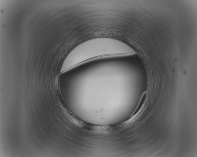 X0000087550192200704270958