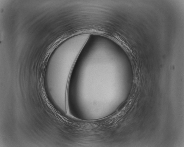 X0000087550193200704270957
