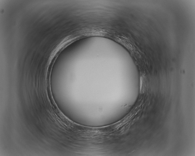 X0000087550195200704270957