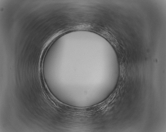 X0000087550196200704270957