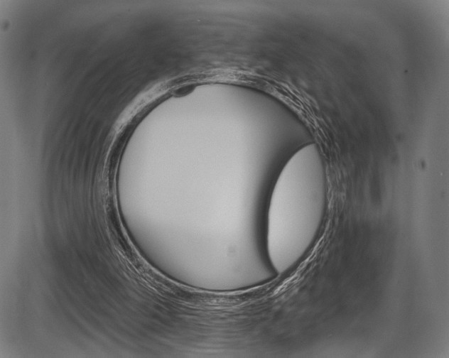 X0000087550198200704270957