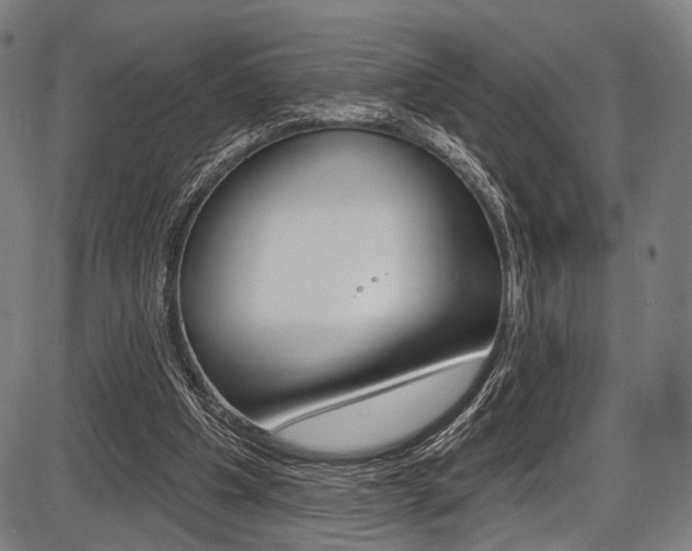 X0000087550201200704270957