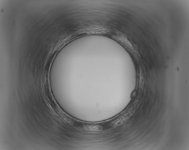 X0000087550202200704270957
