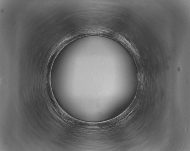 X0000087550203200704270957