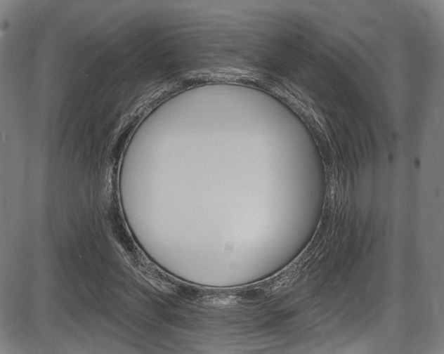 X0000087550206200704270957