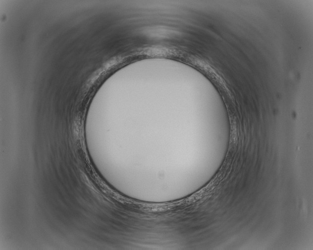 X0000087550208200704270957