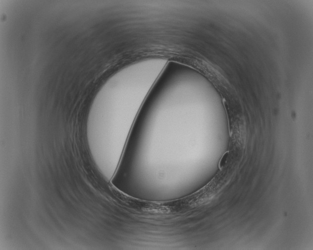 X0000087550215200704270957