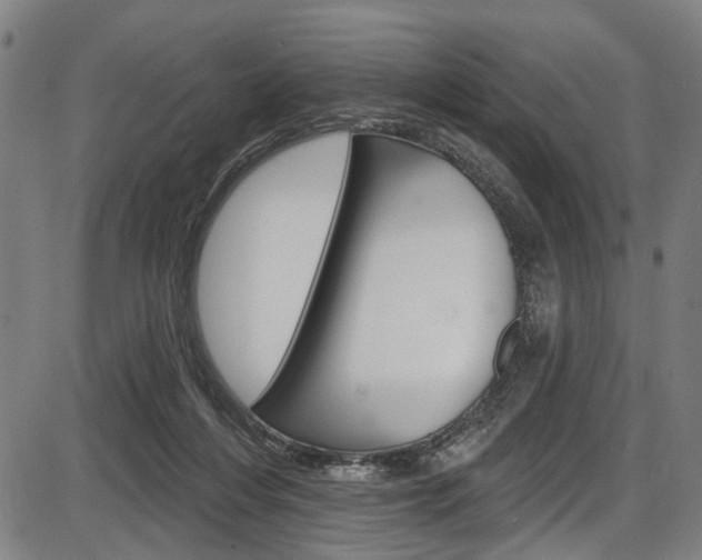 X0000087550216200704270957